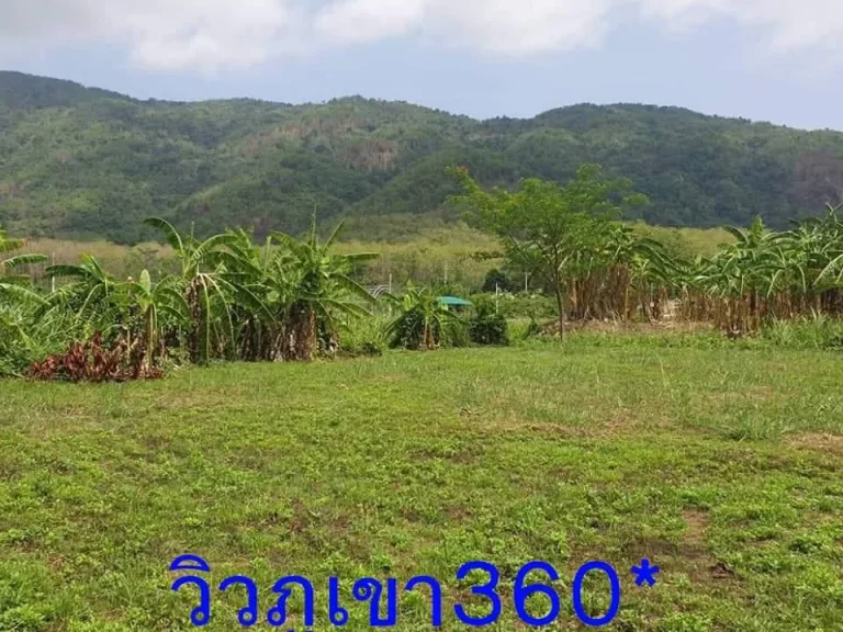 ขายที่วิวภูเขาล้อมรอบ1ไร่ ที่อเมือง จเชียงราย