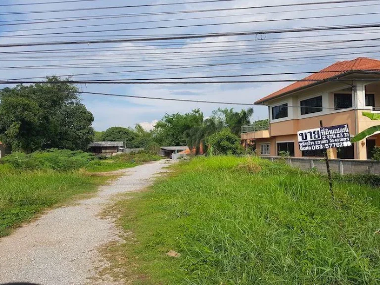 ขายที่ดินติดถนนพหลโยธิน เชียงราย Chiang Rai Land for Sale6209