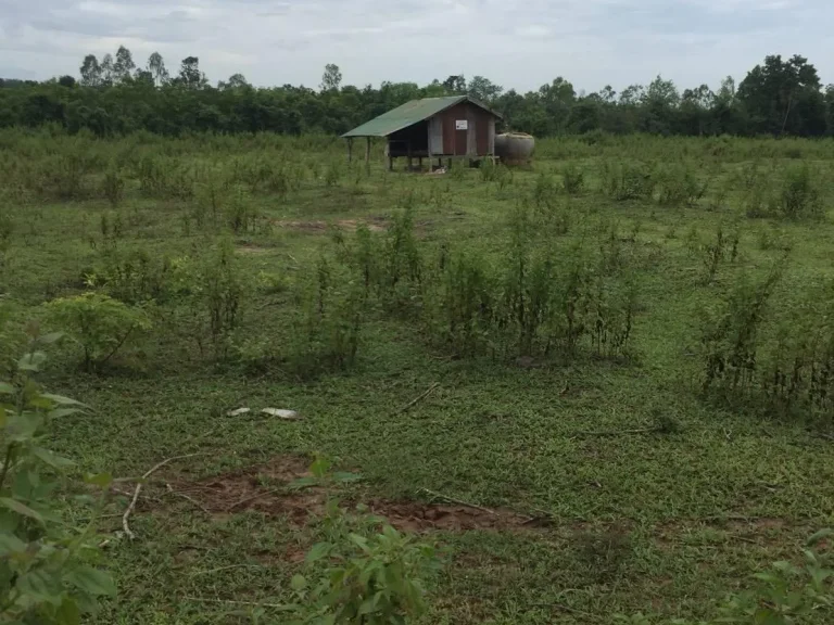 ขายที่ดิน เนื้อที่ 20 ไร่ ถนนลาดกระบัง แหล่งอุตสาหกรรม