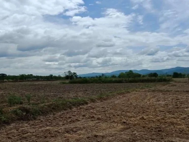 ขายที่ดินแม่ลาวพร้อมสระน้ำ ในเชียงราย Chiang Rai Lang forsale6898