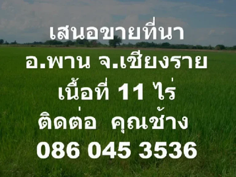 เสนอขายที่ดิน ที่นาอพาน จเชียงราย11 ไร่120000 บาท ไร่