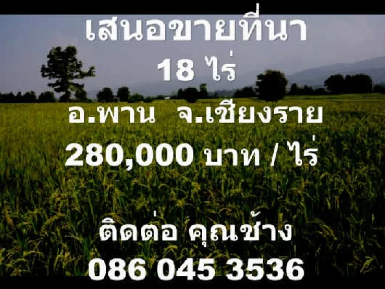 เสนอขายที่ดิน ที่นาอพาน จเชียงราย18 ไร่่280000 บาทไร่