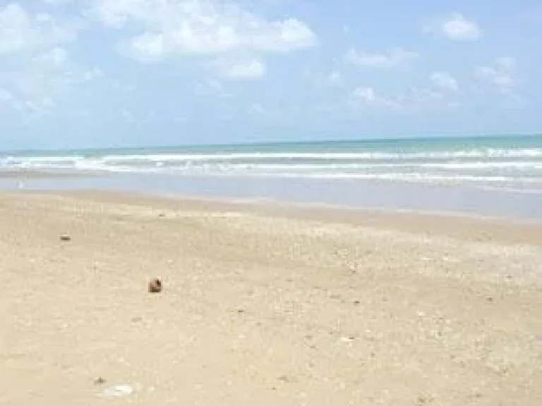 ขายถูกที่ดินติดทะเล ชายหาดส่วนตัว ระยอง