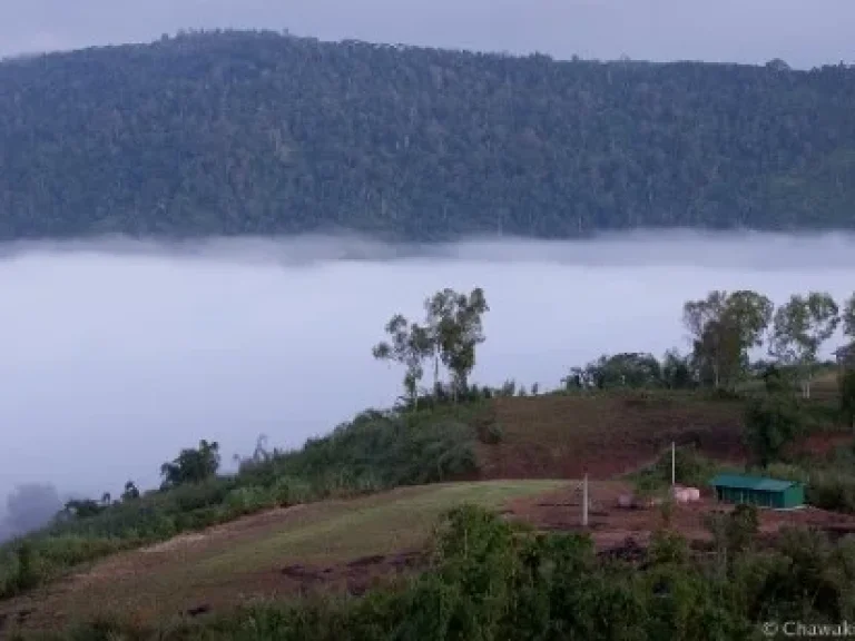  ขายที่ดินติดคลอง ริมภูเขาใหญ่ วิวทะเลหมอก วิวสวยแบบนี้หายาก