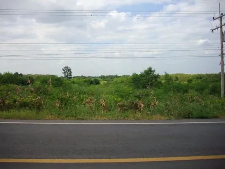 ขายที่ดินโฉนด20ไร่ติดถนนลาดยางมีเพื่อนบ้านมีไฟฟ้าประปาพร้อม อชัยบาดาล จลพบุรี