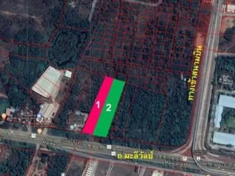 ที่ดิน 4-1-21 ไร่ ติดถนนมะลิวัลย์ 40 ล้าน