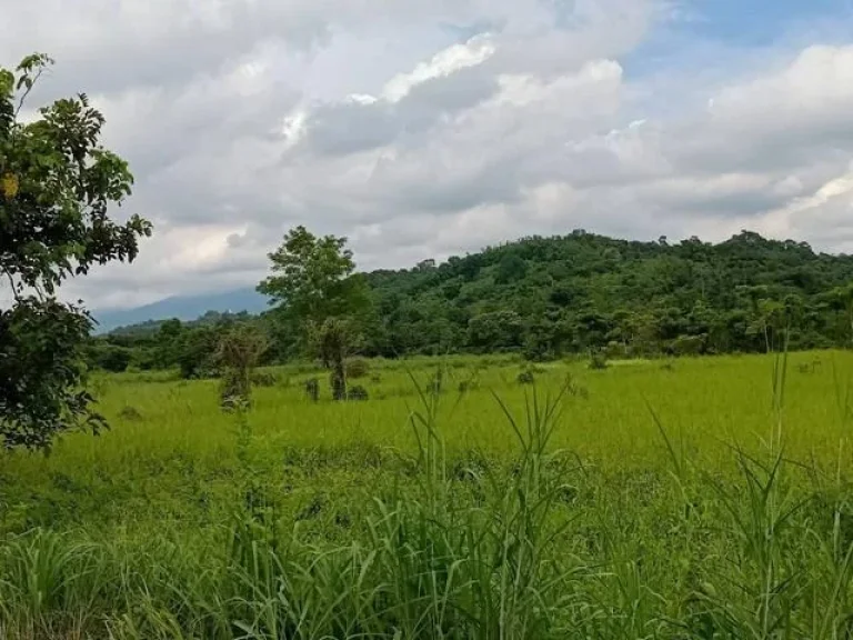 ขายที่ดินแปลงเล็ก ตชะอม อแก่งคอย จสระบุรี