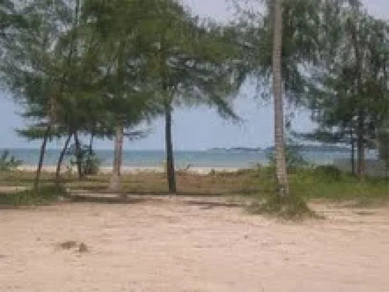 ขายที่ดินปลูกบ้าน ทำรีสอร์ท ติดทะเล หาดส่วนตัวสวยๆ จ ระยอง ไร่ละ 75 ล้าน