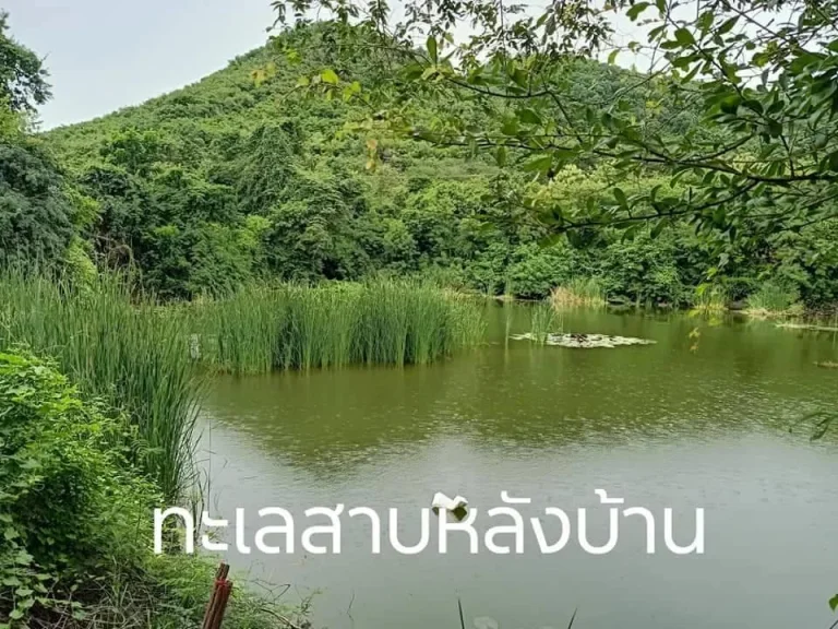 ที่ดินติดถนนลาดยางติดสระน้ำติดเขาไกล้สนามฟุตบอลมิตรผลเอฟซี387ตรวขาย15ล้านตเจดีย์หักจราชบุรี