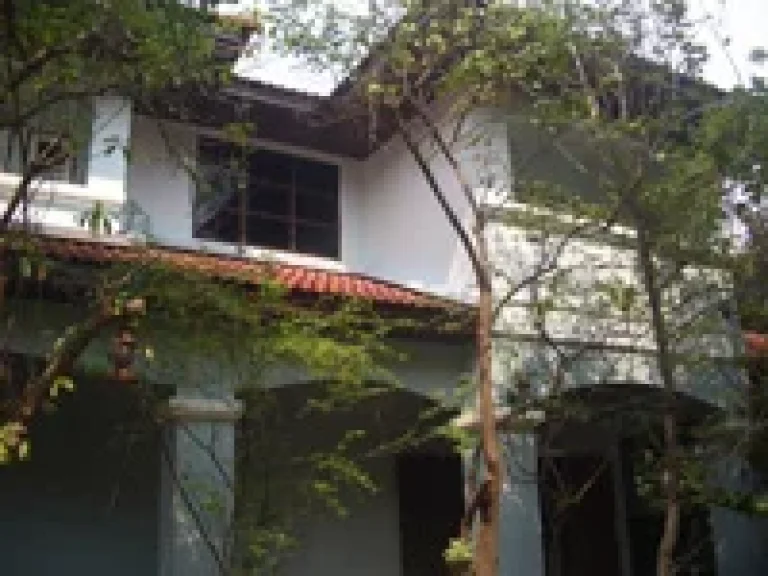 A big house for rent at Sukhumvit 105