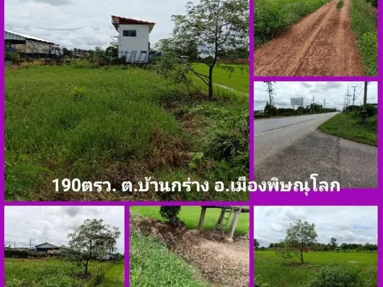 ขายที่ดิน 190ตรว ใกล้ถนน4เลน บ้านกร่าง อเมืองพิษณุโลก