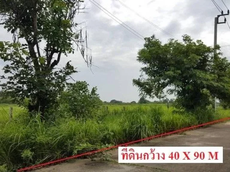 ขายที่ดินติดน้ำติดคลอง ขายที่ดินริมน้ำ