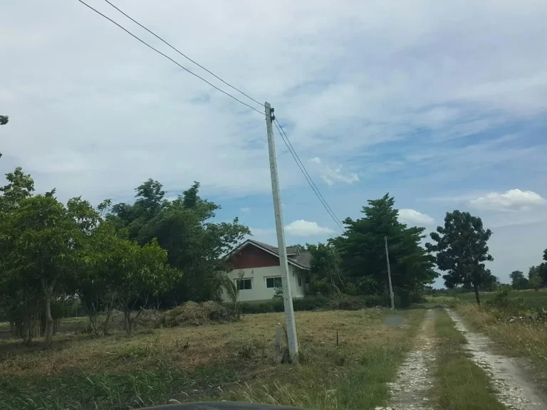 ขายที่ดินโนด200ตรวพร้อมโอนตนิคมสร้างตนเอง