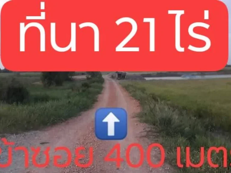 ขายที่นาราคาถูกบางปลาม้า 21 ไร่ จังหวัด สุพรรณบุรี ราคา