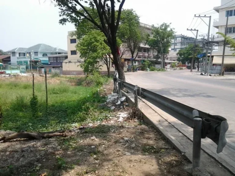 ขายที่ดิน 278 ตรวติดถนนสวนผัก