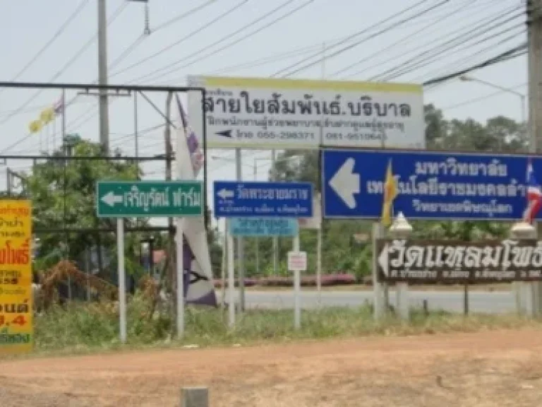 ขายที่ดินบ้านกล่าง เลียบคลองชลประทานข้างปั๊ม ปตททางเข้า มราชมงคล ห่างจาก ถนน 4 เลนส์ 800 เมตร เนื้อที่ 14 ไร่ เป็นที่นา ราคา750000 บาทไร่ สอบถามคุณสมคิด 082-1645484 หรือ kidxiihotmailcoth