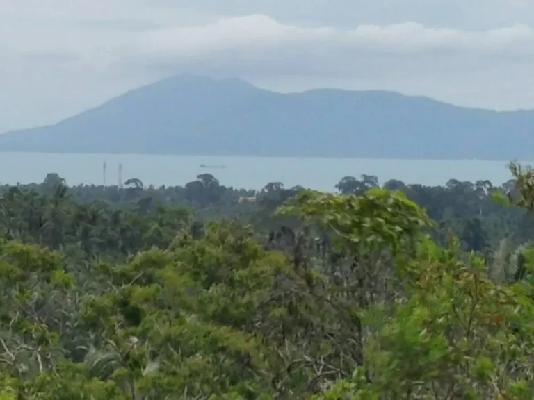 ขายที่ดิน24ไร่ซีวิวแม่น้ำเกาะสมุย