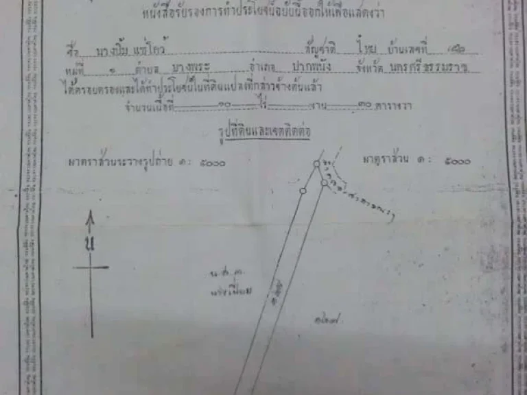 ขายที่ดินเปล่า บางพระ จังหวัดนครศรีธรรมราช ขนาด 12 ไร่