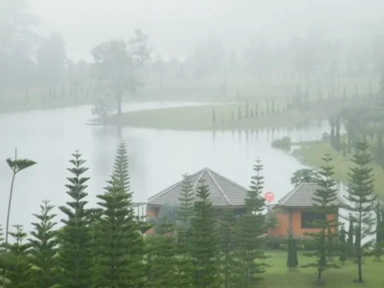 ขายที่ดิน บนเนินอุทยานในฝันท่ามกลางธรรมชาติ วิวภูเขาสวย พร้อมสระว่ายน้ำและทะเลสาป โฉนด2 ไร่