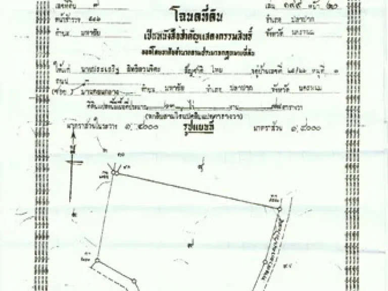 ขายที่ดิน 63ไร่ มีฉโนด พร้อมโอน