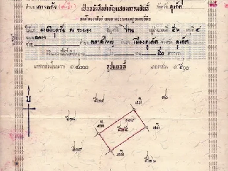 ขายที่ดินปากทางเข้ารรนานาชาติ เกาะแก้ว เนื้อที่ 50 ตรวา ขาย 9 แสนบาท