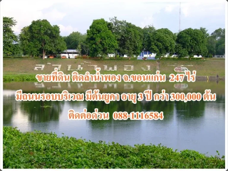 ขายที่ดิน ติดลำน้ำพอง จขอนแก่น 247 ไร่