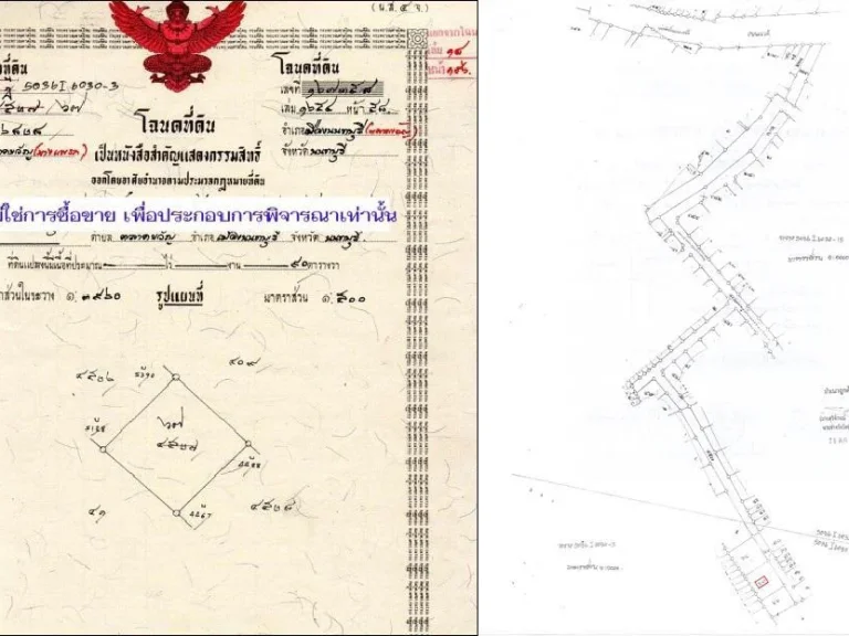 ขายถูกที่ดินจัดสรรค 90 ตรวซอยเลี่ยงเมืองนนท์6 อำเภอเมืองนนทบุรีตลาดขวัญ ใกล้โรงพยาบาลพระนั่งเกล้า