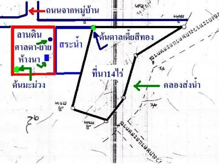 ขายด่วนที่นา14ไร่ติดคลองส่งน้ำ ห่างเซ็นทรัล12kmข้างๆหมู่บ้านคลองเมม