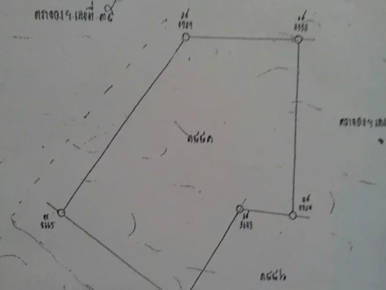 ขายที่ดินบริเวณข่วงสิงห์เชียงใหม่