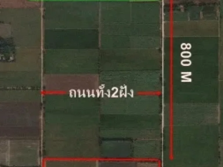 ขายที่ดิน 33 ไร่ อบางระจัน