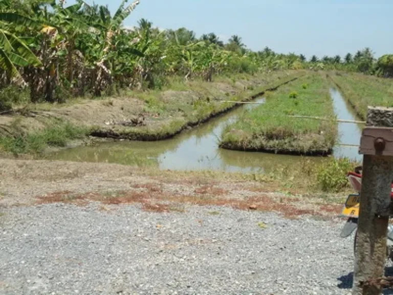 ฟรีรับปรึกษา จัดหาที่ดินตามสเป็คส์ ใน อบ้านแพ้ว อดำเนินสะดวก ทุกตำบล