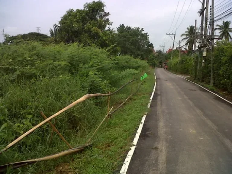 ต้องการขายที่ดิน ตฟ้าฮ่าม 3 ไร่