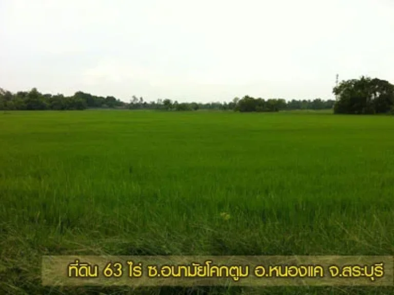 ขายที่ดิน 63 ไร่ จสระบุรี ติดถนนใหญ่ใกล้นิคมฯปูนซีเมนไทย