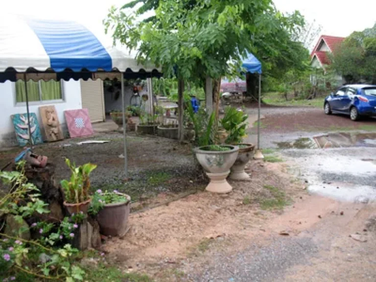 ขายที่พร้อมสิ่งปลูกสร้าง 4 ไร่ ติดถนนหลวง อุดร-ขอนแก่น บริเวณบ้นข้าวสาร