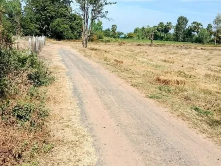 ที่ดินเปล่า แปลงสวย ใกล้แหล่งอำนวยความสะดวก นางรอง บุรีรัมย์