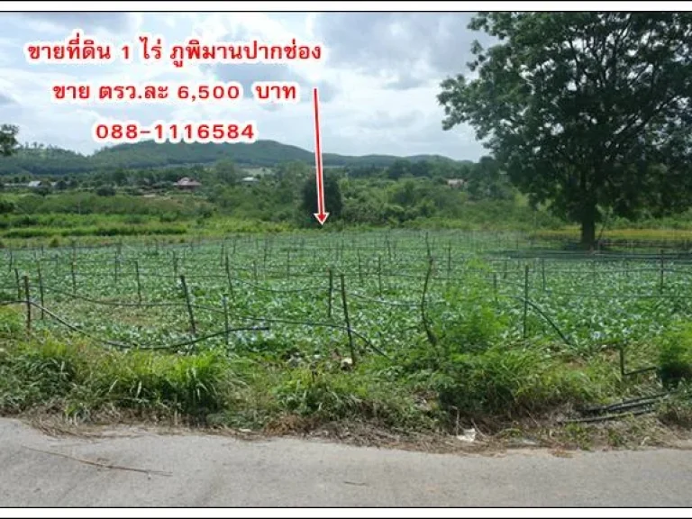 ขายที่ดินโครงการภูพิมานปากช่อง วิว สวย ตรวละ 6500