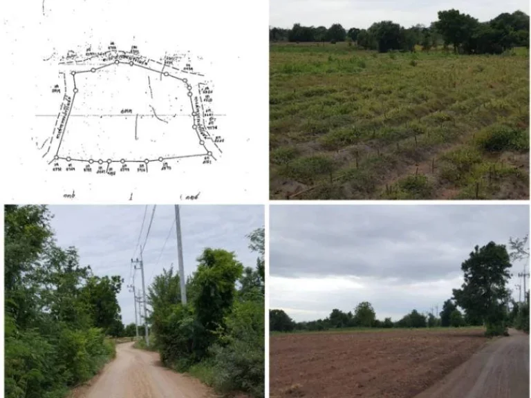 ที่ดินโฉนด31ร่3งานเศษ95000บไร่ติดถนนสาธารณะประโยชน์ 3ด้าน