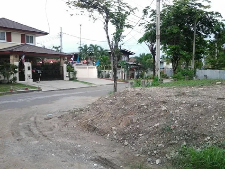 ขายที่ดิน 177 ตรวพุทธมณฑลสาย1