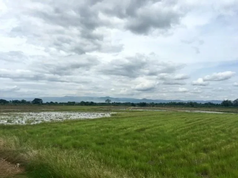 ขายที่ดิน มีโฉนด ในตัวเมือง เพชรบูรณ์