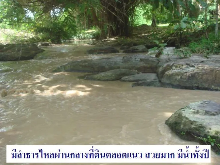 ขายโครงการสวนเกษตรผสมผสาน150ไร่ มีลำธารไหลผ่านกลางที่ดินสวยมาก มีน้ำ-ไฟฟ้า