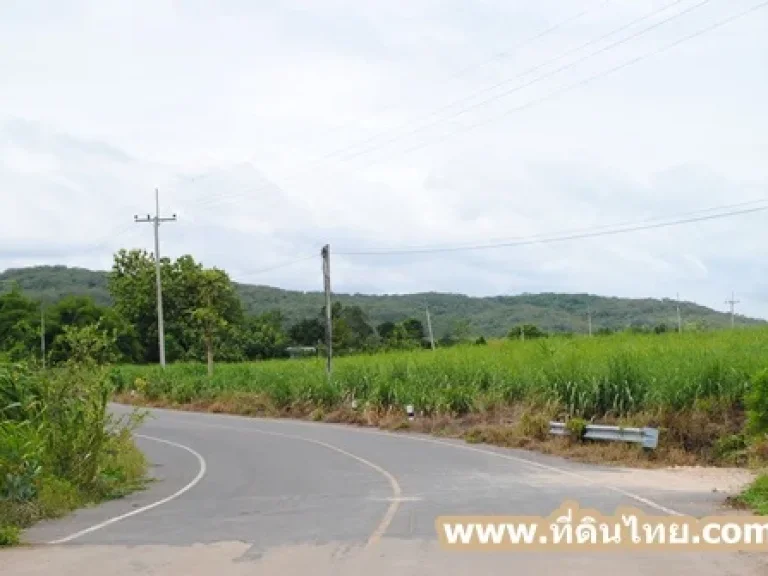 ที่ดินสระบุรี-ที่ดินไทย ขายด่วนที่ดินอวังม่วง จำนวน 36 ไร่เศษ โฉนด ตั้งอยู่ที่อำเภอวังม่วง จังหวัดสระบุรี