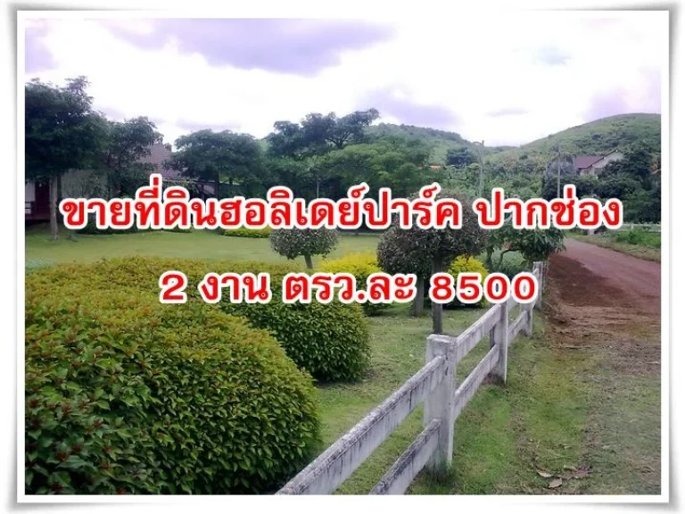 ขายที่ดินฮอลิเดย์ปาร์ค ปากช่อง 2 งาน ตรวละ 8500