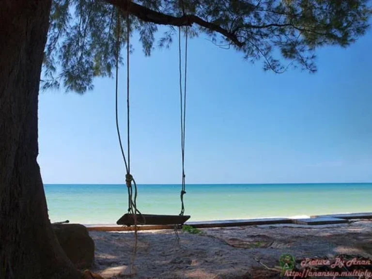 ขายที่ดินสำหรับปลูกบ้านริมทะเล หาดเจ้าหลาว ย่านชายหาดสวยๆ ทรายขาวๆ น้ำใสใส โฉนด 200 ตารางวา