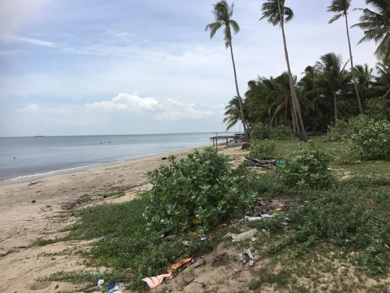 LAND FOR SALE 14 ไร่ ติดทะเล 200 มThasala Beach