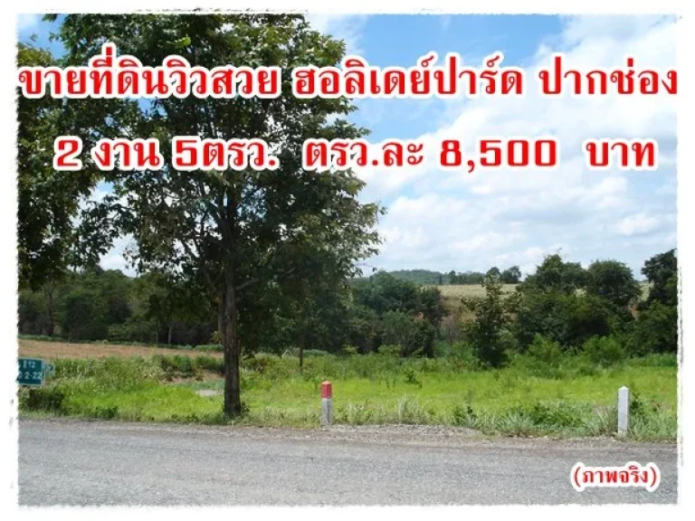 ขายที่ดินวิวสวย ฮอลิเดย์ปาร์ด ปากช่อง 2 งาน 5ตรว ตรวละ 8500 บาท