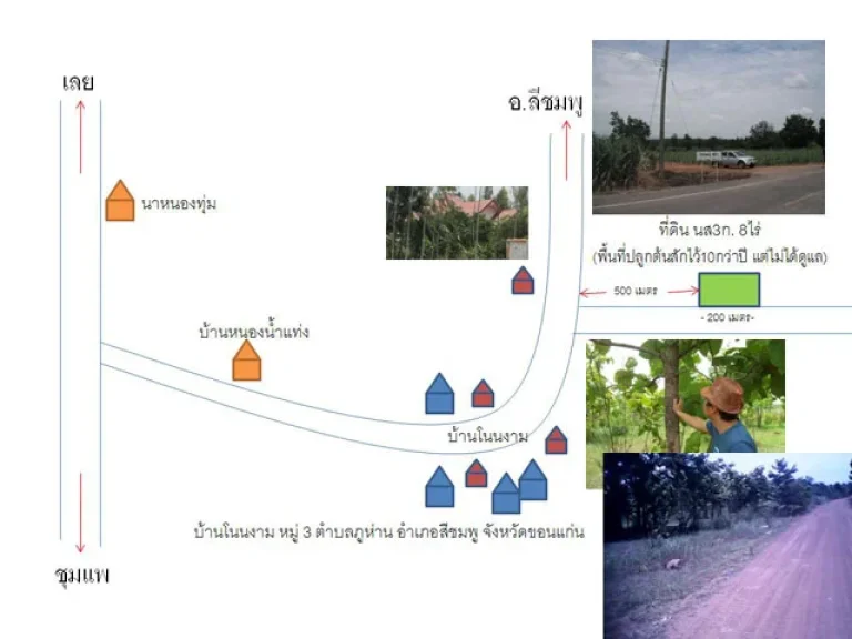 ขายที่ดิน 8ไร่ พร้อมป่าสัก10กว่าปี ราคาถูก อสีชมพู จขอนแก่น