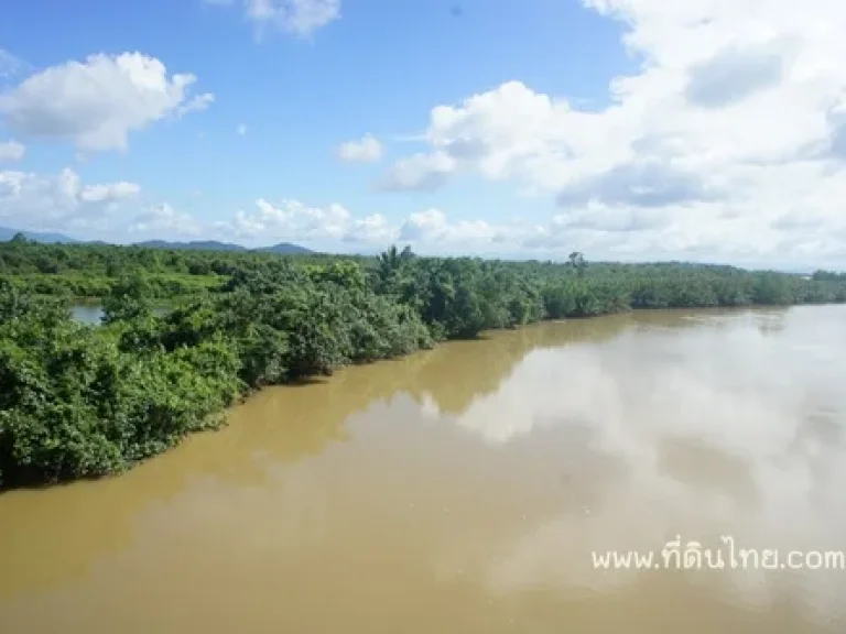 ขายที่ดินติดแม่น้ำเวฬุ จตราด-ที่ดินไทย โฉนด 500ไร่ ขายยกแปลงไร่ละ 200000 บาท