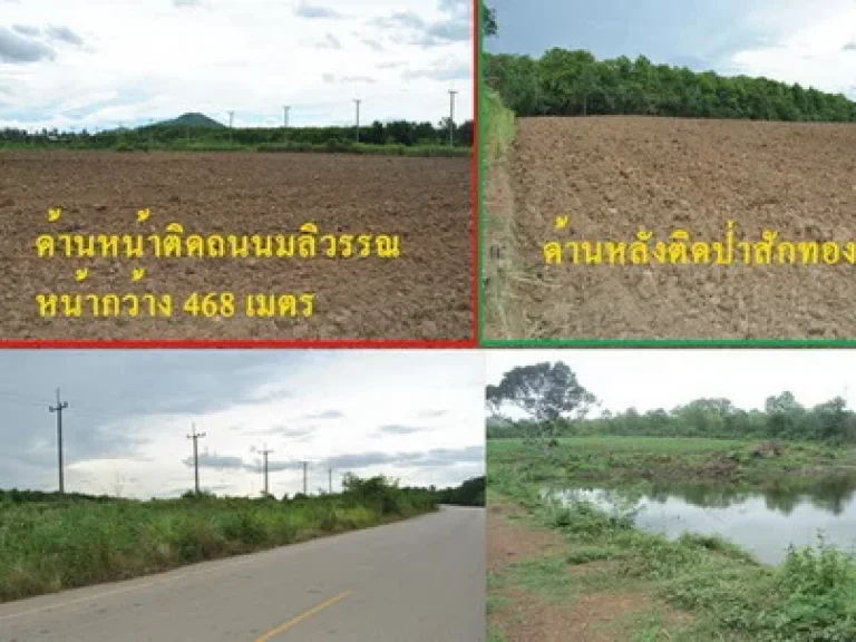 ขายที่ดินสวย 54 ไร่