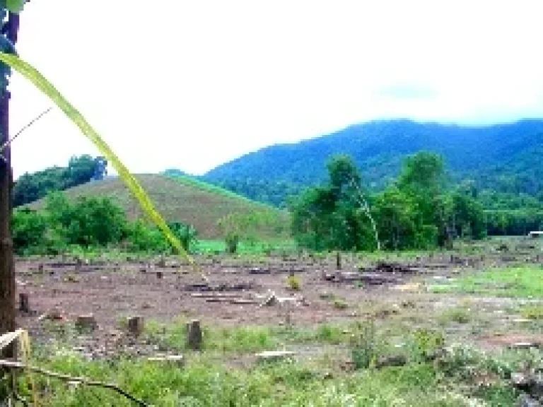 ที่ดินแปลงสวย ด้านหน้าติดถนนสาย แพร่-น่าน ราคาถูก