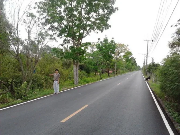 ขายที่ดิน 4 ไร่ ด้านหลังติดห้างตะวันออกคอมเพล็กซ์ ฉะเชิงเทรา